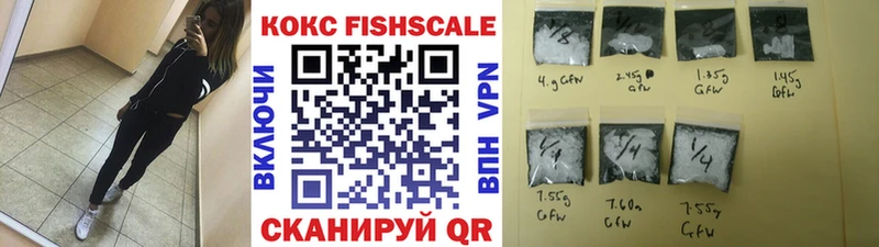 КОКАИН Fish Scale  Купить  Новотроицк 