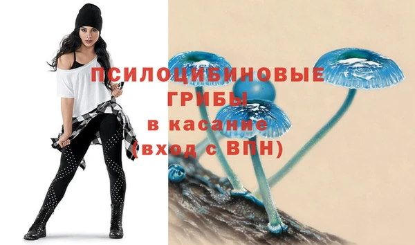 spice Инта