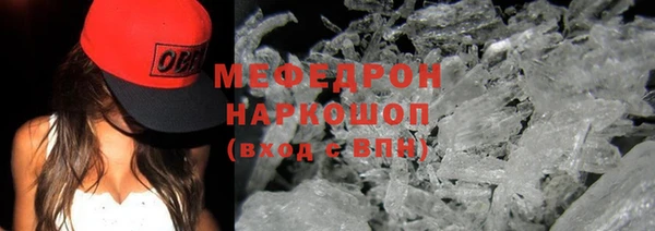 spice Инта