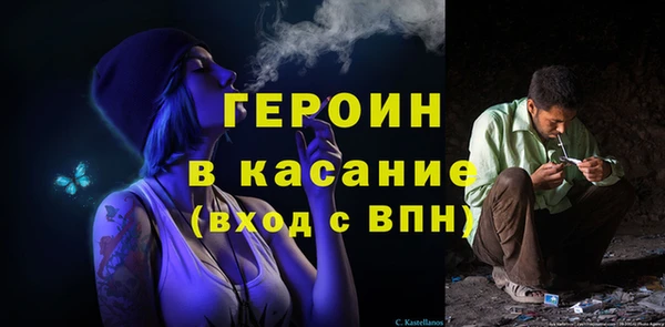spice Инта