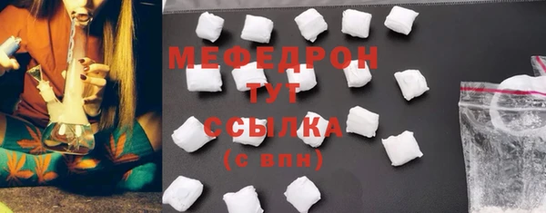 spice Инта