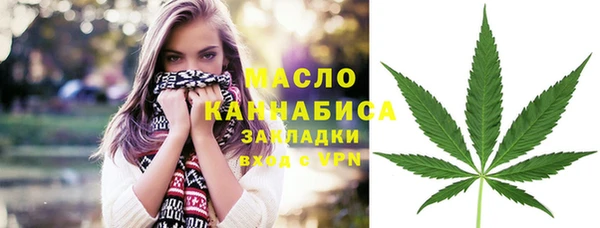 мяу мяу мука Инсар