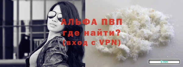 spice Инта