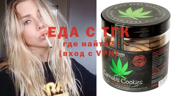spice Инта