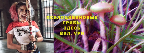 мяу мяу мука Инсар