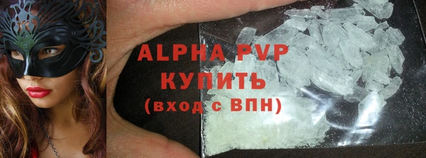 мяу мяу мука Инсар