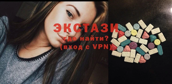 spice Инта