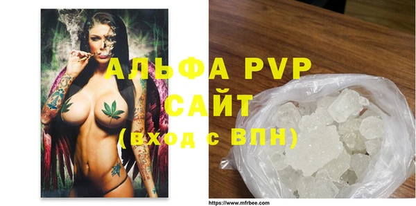 spice Инта
