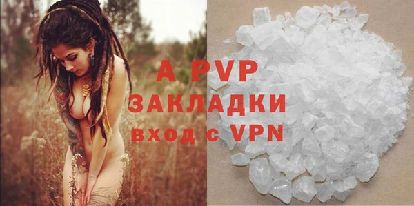 мяу мяу мука Инсар