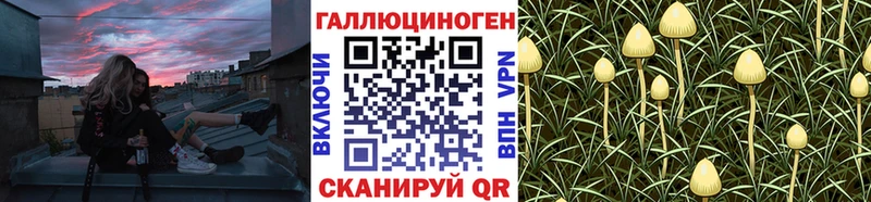 Галлюциногенные грибы мухоморы  Купить где  Новотроицк 